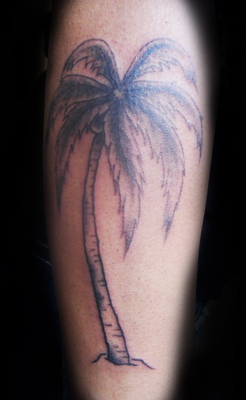 Attractive Grey Ink Palm Tree Tattoo On Leg